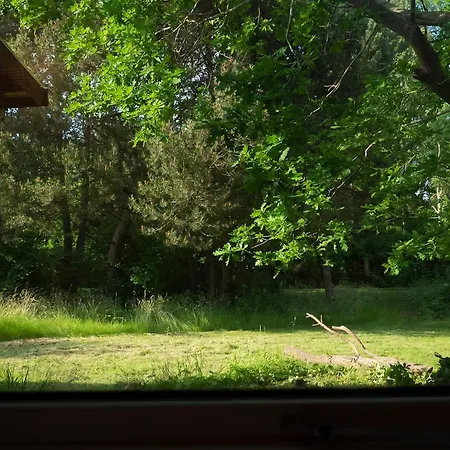 Summer House With Outdoor Kitchen By North Hébergement de vacances *