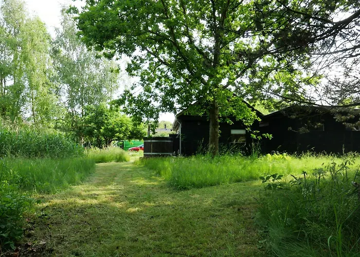 Summer House With Outdoor Kitchen By North * Tjørneholm