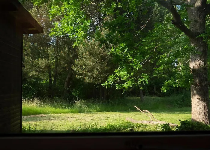Summer House With Outdoor Kitchen By North Hébergement de vacances *